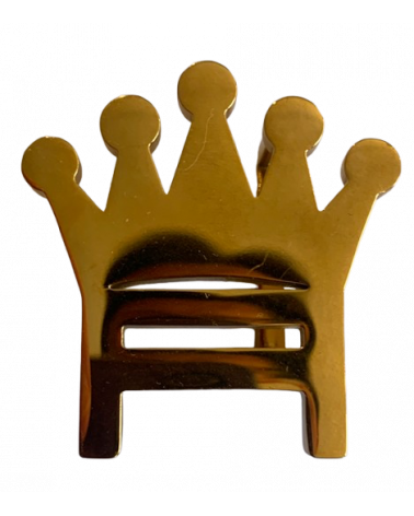 Gürtel mit Edelstahllogo